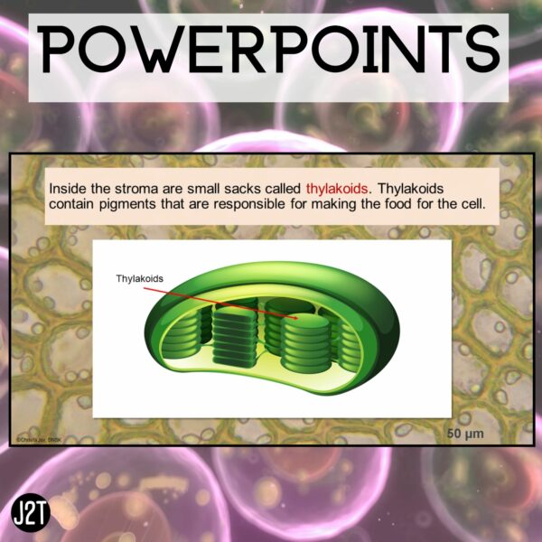 Biology 2 Curriculum Special Education 5 Units Joy2Teach - Image 3