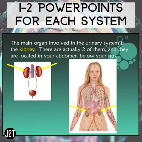 Anatomy 2 Curriculum Special Education 5 Units Joy2Teach - Image 3