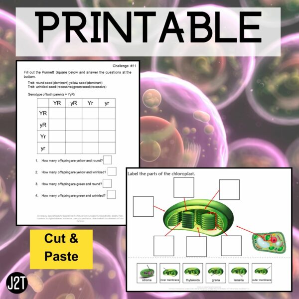 Biology 2 Curriculum Special Education 5 Units Joy2Teach - Image 4