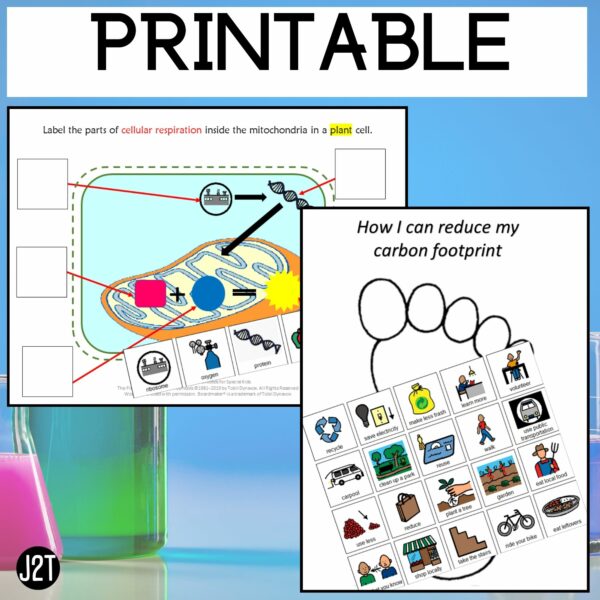 Middle and High School Science Special Education Curriculum Joy2Teach 85 Units - Image 4