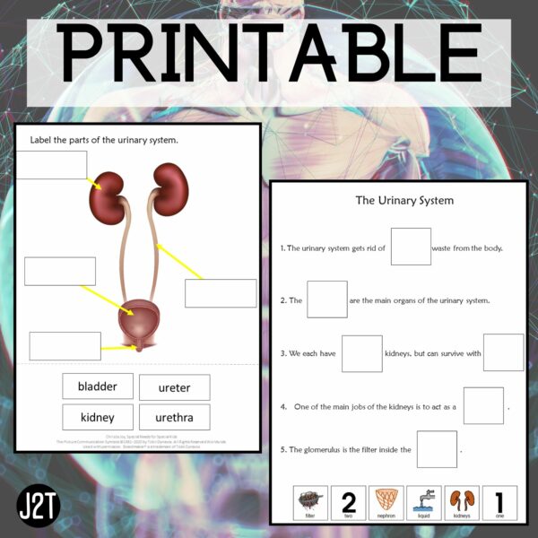 Anatomy 2 Curriculum Special Education 5 Units Joy2Teach - Image 4