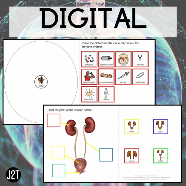 Anatomy 2 Curriculum Special Education 5 Units Joy2Teach - Image 5